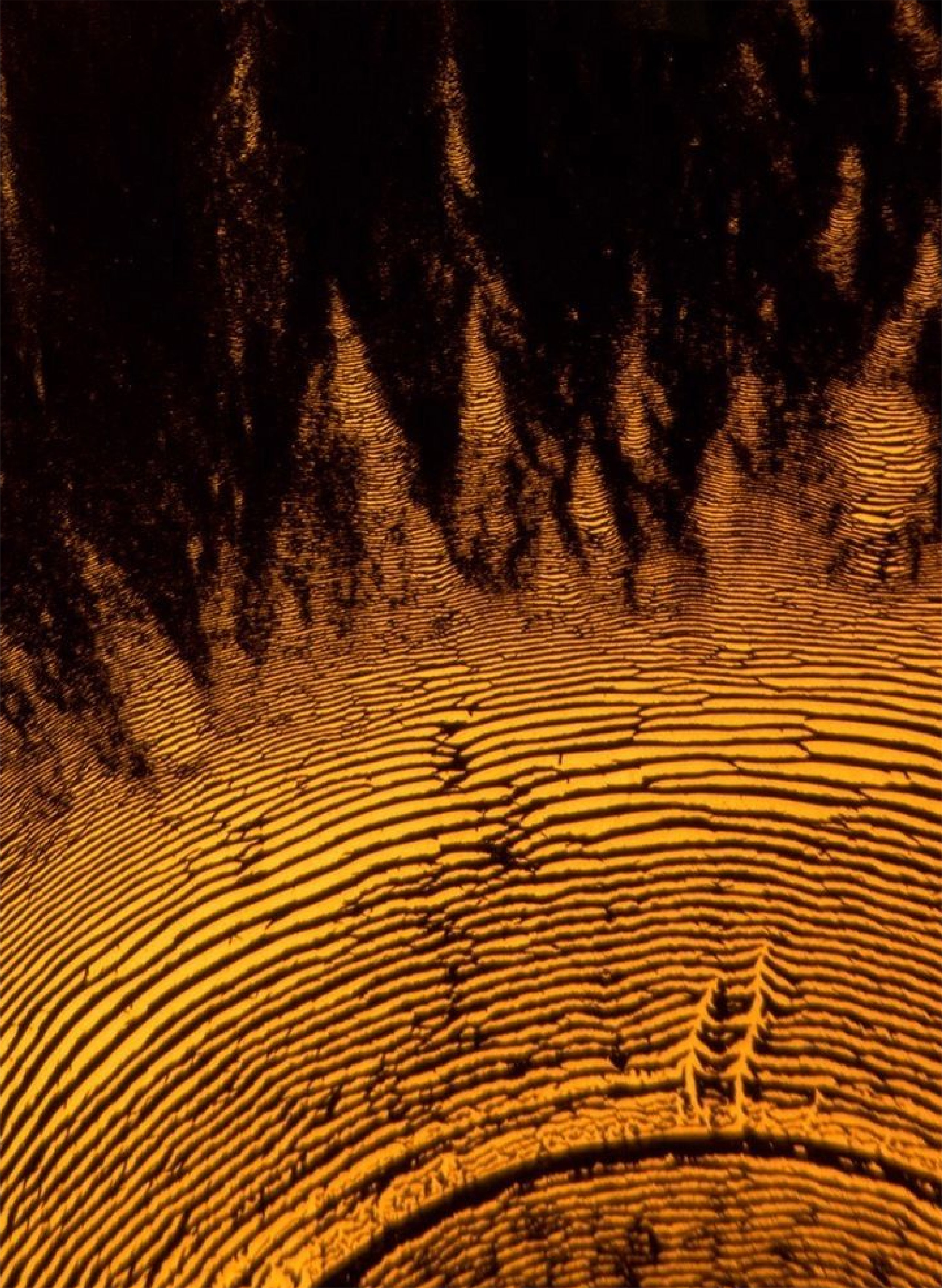 Donut i7 Close-up